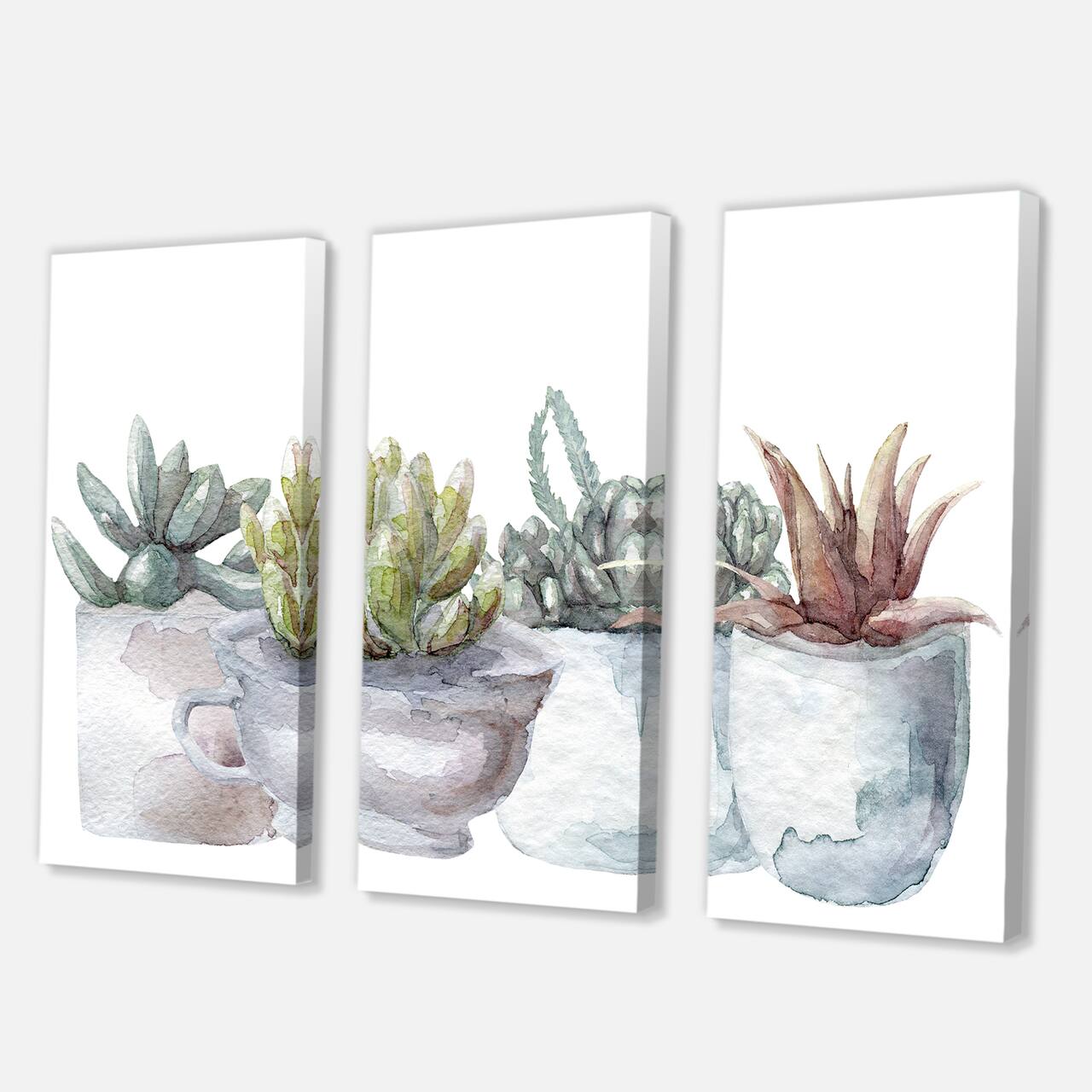 Designart - Cactus and Succulent House Plants IV - Farmhouse Canvas Wall Art Print